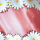 Spinning Chamomiles On Card Stylish Red Background - VideoHive Item for Sale