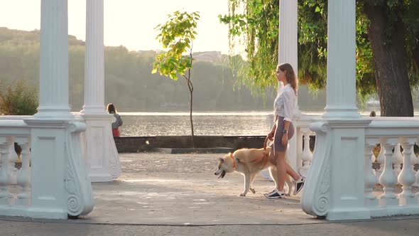 Young woman walking her cute Akita Inu dog in park on sunny day. Lovely pet