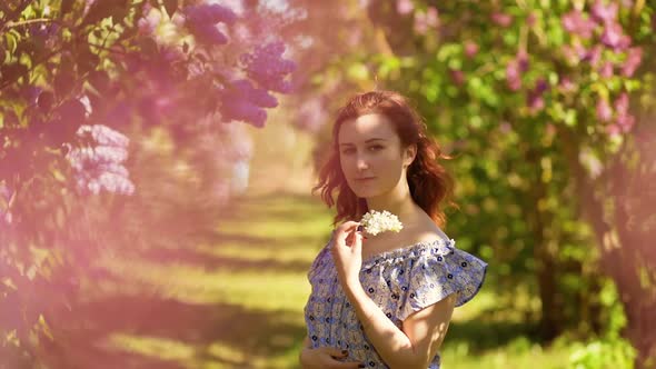 Cute Redhead Woman Stands in Lilac Field and Looks at You Holding White Flower