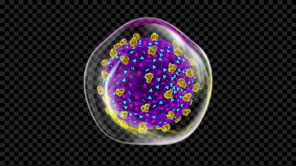 Covid 19 Infected Cell V12 alt