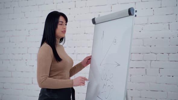 Businesswoman working with board. Young beautiful businesswoman with marker writing on whiteboard