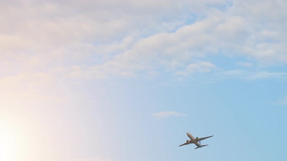 The Plane Takes Off Against the Sunset Sky