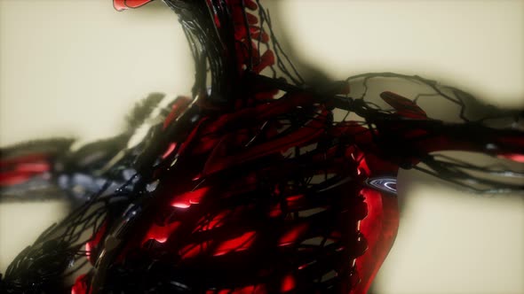 Human Skeleton Bones Scan Glowing alt