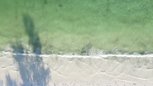 Zanzibar Tanzania  Vertical Video of the Ocean Near the Coast Slow Motion