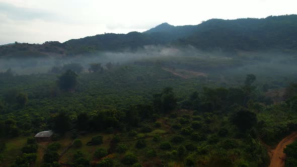 Aerial view a drone fly over a rural area with mountains in the background at sunrise.