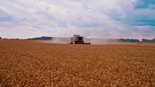 View of the combine harvester on wheat fields