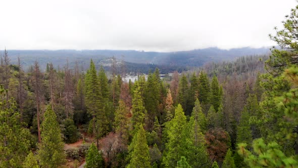 Aerial establishing shot going through trees revealing beautiful lake in the background