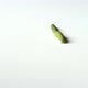 Green caterpillar walking on a white ground shoot from high view - VideoHive Item for Sale