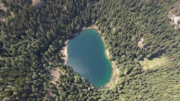 Aerial view of mountain lake surrounded by dense forest. Montenegro, Europe
