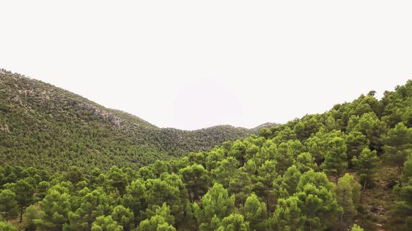 Majestic Mountains Covered With Dense Thicket Near Countryside. Aerial Pullback