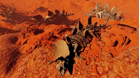 Old Dinosaur Bones alt