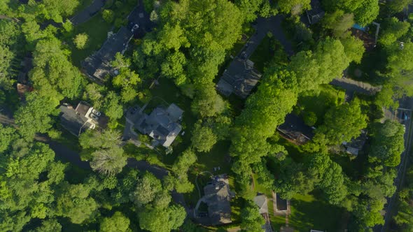Houses Amongst Trees in the Village of Roslyn Long Island Top Down Aerial View