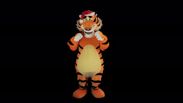 Man in Tiger Costume with Santa's Red Hat Dances on a Black Background