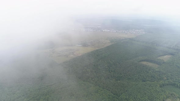 Aerial of a forest and a town on a cloudy day