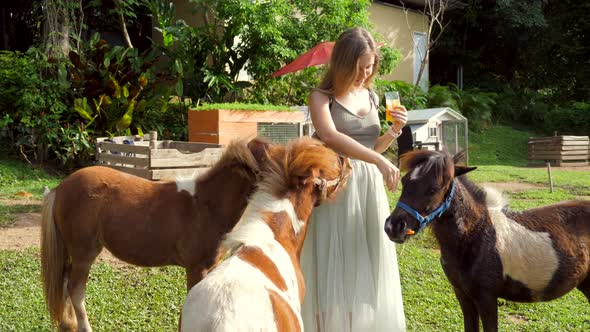 Young Happy Woman Feeding Little Ponies with Carrots From His Hand on the Countryside Farm