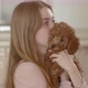 Young beautiful girl holding a poodle puppy in her arms. presses to itself. The puppy yawns. - VideoHive Item for Sale