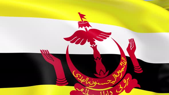 Brunei Flag