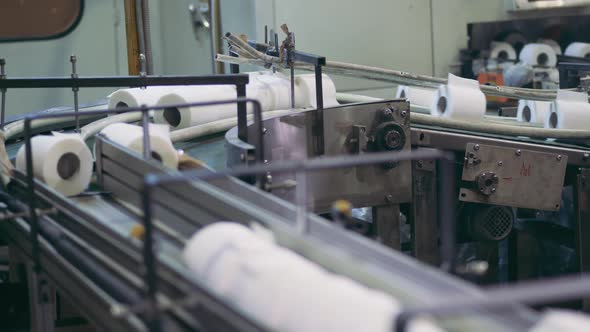 Conveyor Machine with Multiple Toilet Paper Rolls on It