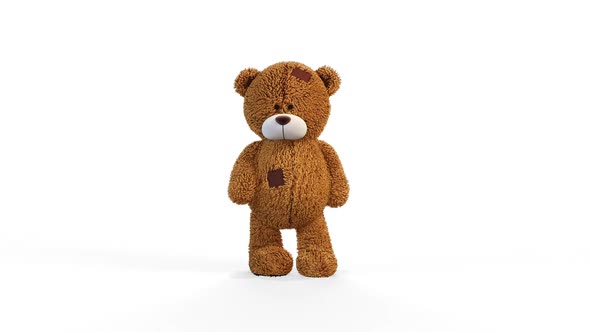 Teddy Bear Walks on White Background 