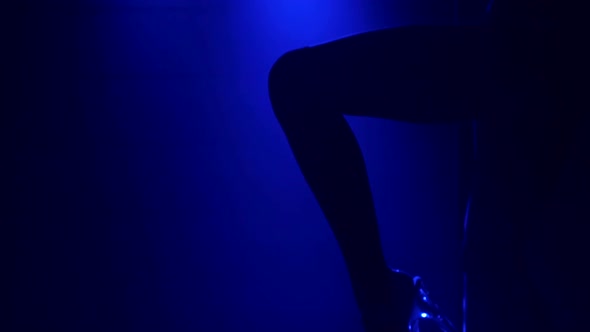 The Silhouette of a Sexy Girl Dancing on a Pole