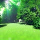 Forest Looped - VideoHive Item for Sale