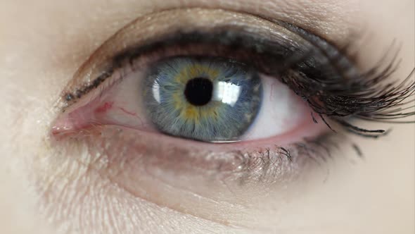 Macro view of woman's blue eye alt
