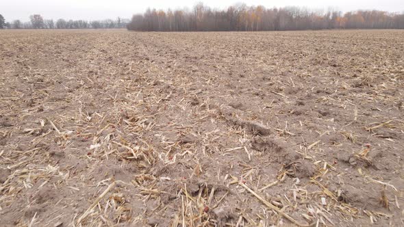 Land in a Plowed Field in Autumn