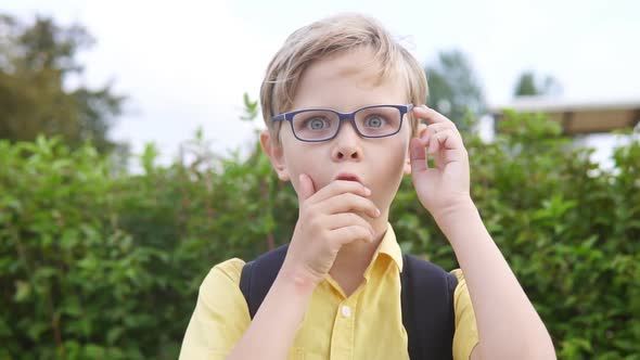 Emotional portrait of blond boy in glasses. Handsome surprised child	