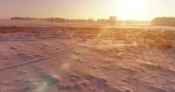 Aerial Drone View of Cold Winter Landscape with Arctic Field, Trees Covered with Frost Snow and