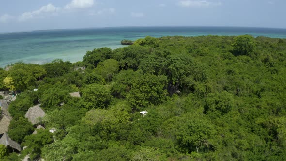 Baobab tree in coastal rainforest with fishing village on Kwale island.