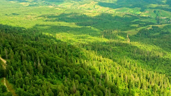 Aerial View on Mountain Scene Green Forest