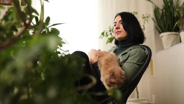 Woman sitting on the armchair holding cute ginger cat,