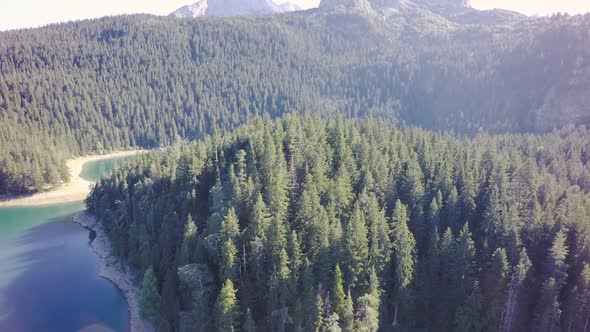 Fly over Durmitor lake. Woods and trees and green, clean water. Sunny day.