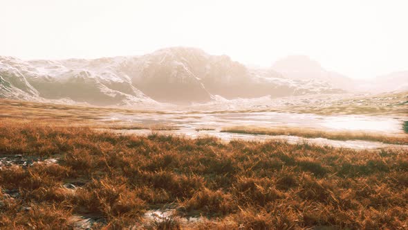 Dry Grass on the Mountain with Fog