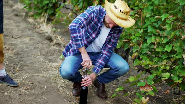 Vineyard Autumn Day Countryside Farmer Man Open