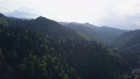 Aeiral slow Downwards pan of the top of valley with trees and mountains in the background