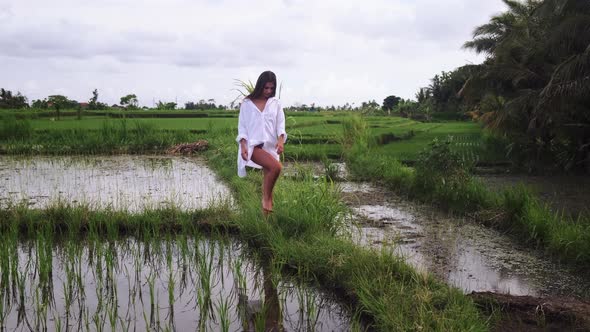Woman is Walking on Paddy Fields with Growing Rice Exotic Travel