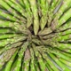 Green asparagus on a light table, rotation. Fresh and tasty organic asparagus - VideoHive Item for Sale