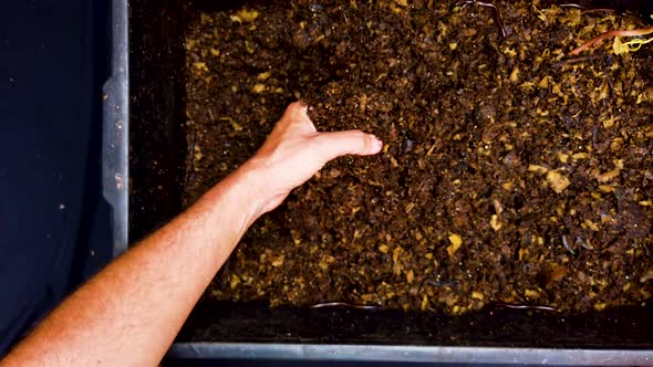 Compost with composted earth, sustainability, global warming.