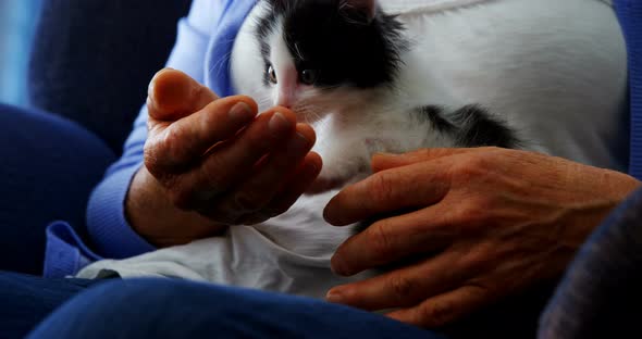 Senior women holding kitten while sitting on armchair at retirement home 4k