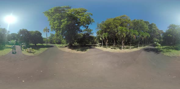 360 VR Family of Three Walking in Green Park on Sunny Day, Mauritius