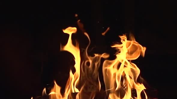 Fire Pit (Slow Motion) alt