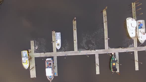 Drone aerial descending upon boats docked at a marina