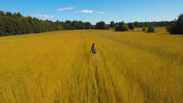 Summer Landscape, Girl, Field of Flax