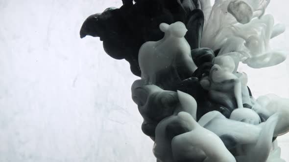 White and Black Color Paint in Water. The Ink Is Curled Under the Water alt