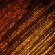 Orange Particles Background - VideoHive Item for Sale