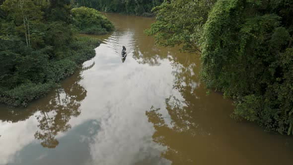 Aerial View Of Small Boat Sailing On Amazon River With Lush Vegetation In Ecuador - drone shot