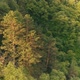 Mountain Forest Aerial - VideoHive Item for Sale