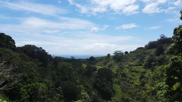 Hawaii Island of Maui Nature Landscape - Rising Aerial View with Copy Space in Sky