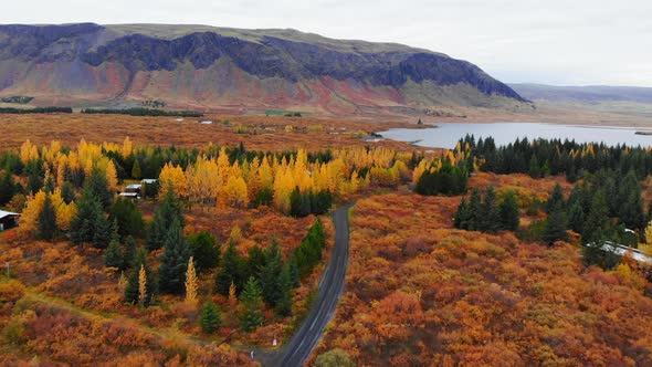 Aerial View of Colorful Autumn Landscape in National Park Thingvellir, Iceland